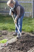 Woman loosening soil with a krail to plant lettuce (lactuca)