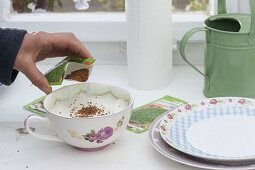 Sowing cress in rose cup