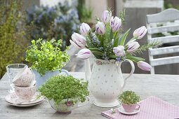 Sow cress in rose cup