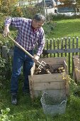 Growing potatoes in potato crate