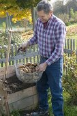 Growing potatoes in potato crate