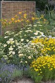 Planting a cottage garden with perennials and summer flowers