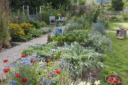 Vegetable garden with Rudbeckia 'Goldsturm' (coneflower), artichokes