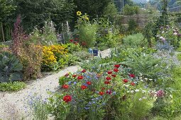 Gemüsegarten mit Rudbeckia 'Goldsturm' (Sonnenhut), Artischocken