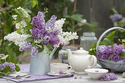 Duftstrauss aus Syringa (Flieder) in Zink-Kanne , Tee mit Fliederblueten