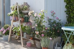 Wooden ladder with boards as a flower staircase