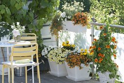 White-yellow-orange balcony