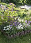 Bed with hazel rod edging