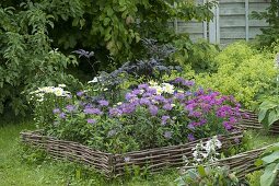 Bed with hazel-root edging