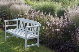 White bench at the border with Penstemon 'Huskers Red' (bearded thread), Heuchera