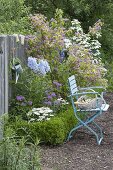 Bed with Deutzia 'Strawberry Fields' (Deutzia), Monarda fistulosa