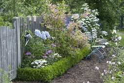 Bed with Deutzia 'Strawberry Fields' (Deutzia), Monarda fistulosa