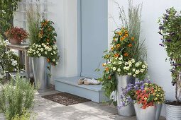 Planted tall zinc vessels at the house entrance
