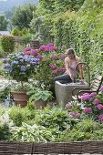 Halbschatten-Terrasse mit Hortensien und Brunnen