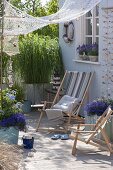 Maritime terrace with golden cornice grass and lavender