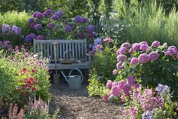 Schattiger Sitzplatz im Hortensiengarten