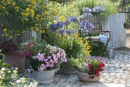 Container plant terrace with lilies