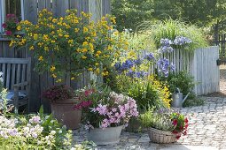 Patio of potted plants with decorative lilies