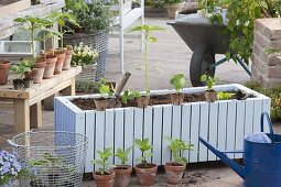 Fahrbaren Kasten mit einjaehrigen Sommerblumen bepflanzen