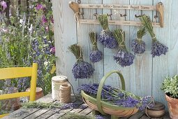 Lavender tied into bouquets and hung upside down to dry