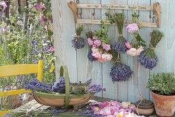 Lavender tied into bouquets hung to dry