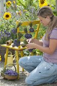 Woman tying lavender bouquets to dry