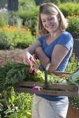 Woman with freshly harvested vegetables between raised beds