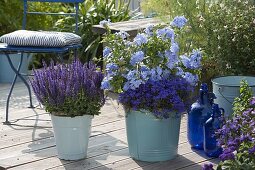 Blaue Emaille-Eimer mit Salvia nemorosa 'Blauhuegel' (Steppen-Salbei)