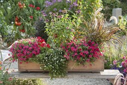 Wooden box with zinnias and magic bells