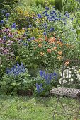 Staudenbeet mit Echinops ritro (Kugeldistel), Lilium tigrinum (Tigerlilie)