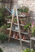 Gravel terrace with old ladder as shelf and wooden bench