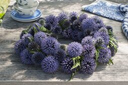 Kranz aus Blüten von Echinops ritro (Kugeldistel)