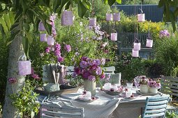 Set table under the walnut tree