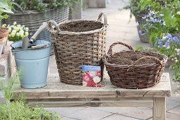 Sow poppies in baskets