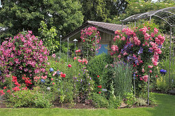 Gartenhaus geschützt hinter Beet mit Clematis und Rosen