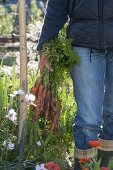 Birch trees from own harvest