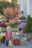 Planting a green wooden box with chrysanthemums