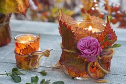 Gläser umwickelt mit Blättern von Brombeere (Rubus) als Windlichter