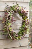 Autumn wreath made of clematis and hedera (ivy) tendrils