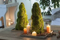 Moss cone for table decoration