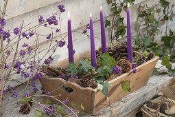 Quick Advent wreath in a wooden box with Hedera (ivy) and cones of Pinus