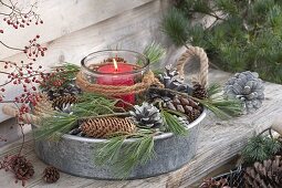 Windlicht mit roter Kerze im Naturkranz aus Zweigen von Pinus (Kiefer)