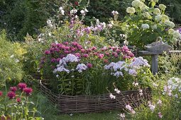 Bed border made from hazel rods: Monarda didyma 'Pink Lace' (Indian Nettle)