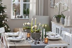 Festive table decoration with mini phalaenopsis