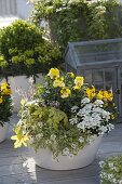 Yellow-white spring bowls