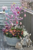 Old zinc tub planted with spring bloomers