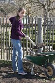 Plant the bed in the organic garden with lettuce, kohlrabi, horned violet and parsley