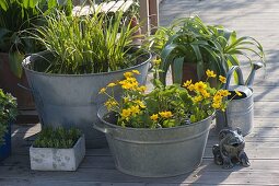 Old zinc sinks as mini ponds on the terrace