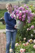 Bouquet of the last dahlias and jewelry baskets