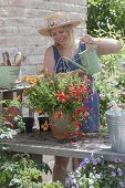 Red-orange planted ceramic pot